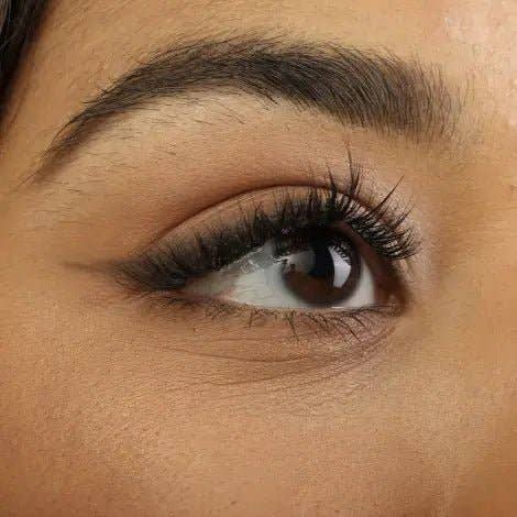 CocoLash - Wholesale False/Fake Eyelashes - Daisy1