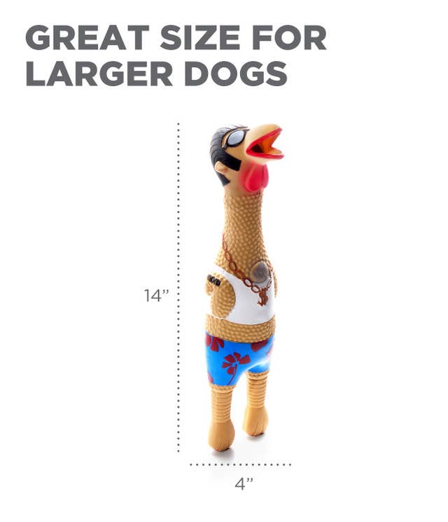 Pet Palette Distribution - Wholesale Pet Squeaky Toy - Dog - Outward Hound Squawkers Latex Rubber Earl Chicken Large2