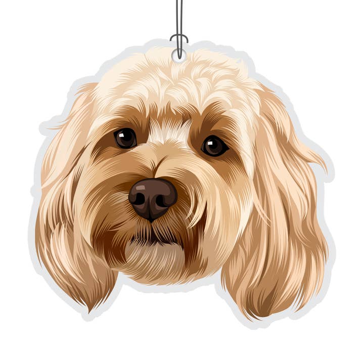 Cockapoo Novelty Air Freshener for wholesale by Really?! Air Fresheners