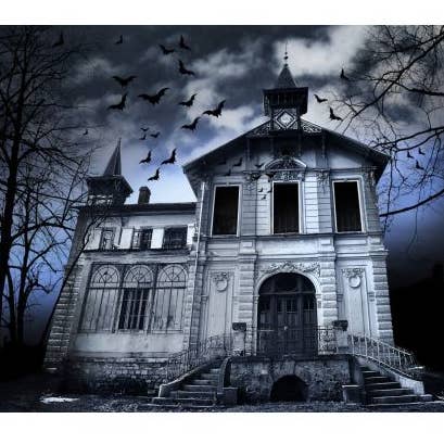 Blossom Oils - Vente Huile parfumée - Maison hantée0