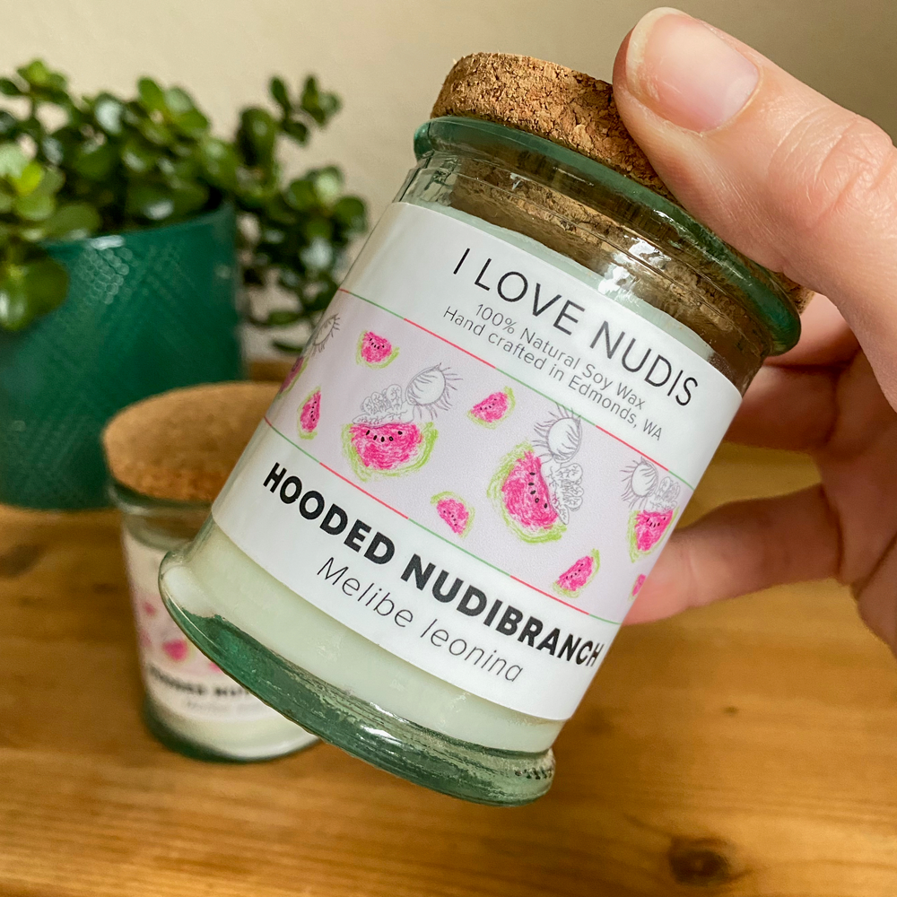 I LOVE NUDIS - Wholesale Jar/Filled Candle - Watermelon Candle inspired by the Hooded Nudibranch in Recycled Glass1