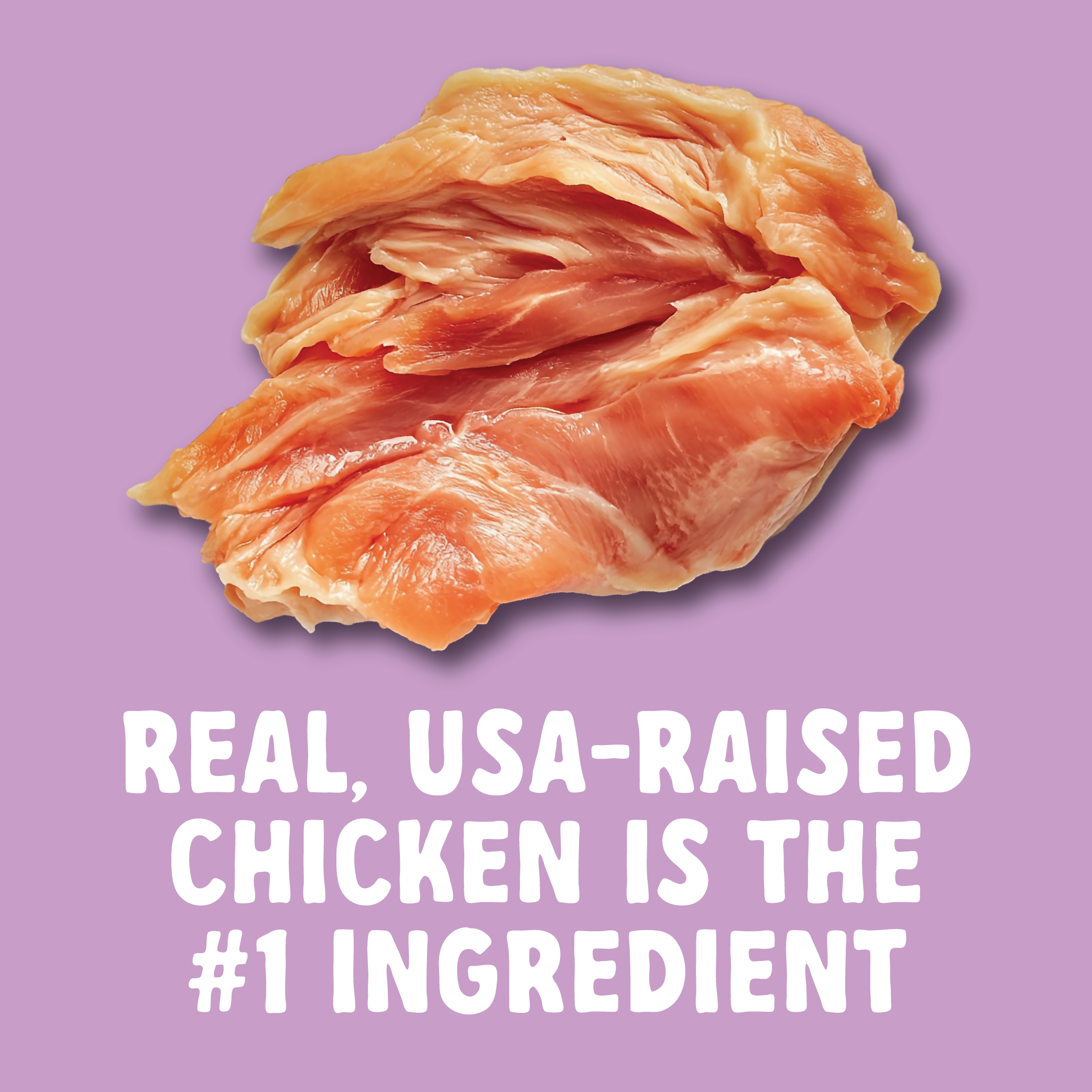 Table Scraps - Wholesale Pet Treats - Dog - Glad Wags Chicken Jerky - 8oz5