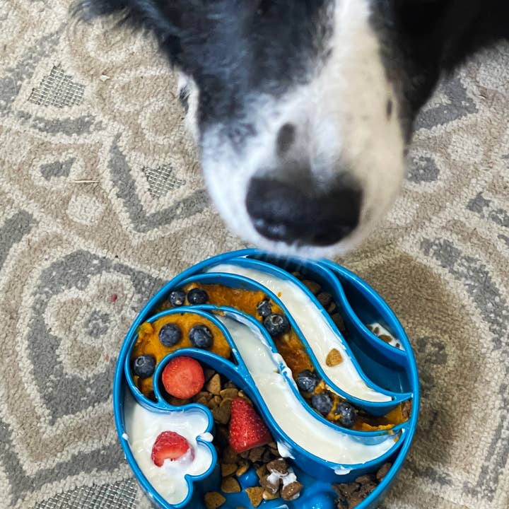 SodaPup Dog Toys – Engroshandel Madskål - Kat/hund – Wave Design eBowl berigelses-snakke til langsom spisning for hunde3