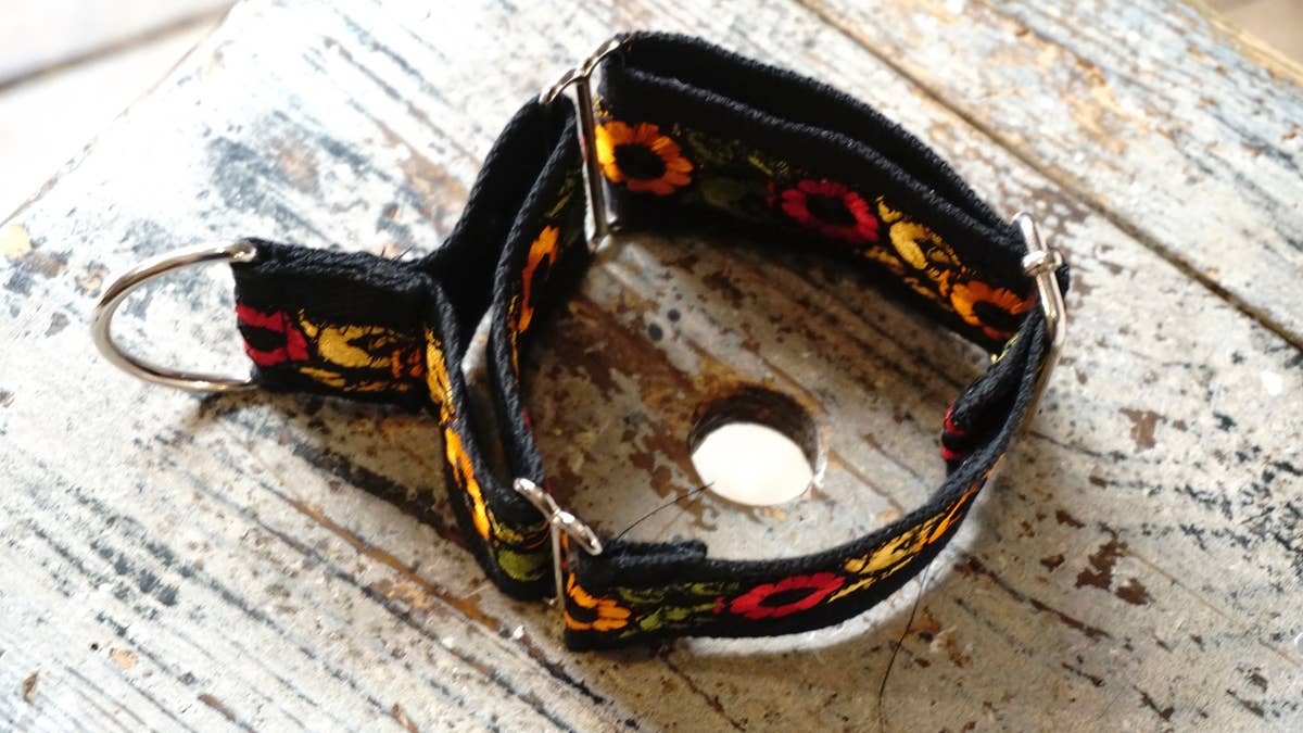 hundsfutter - Wholesale Pet Collar - Dog - Wide collar anti escape design11