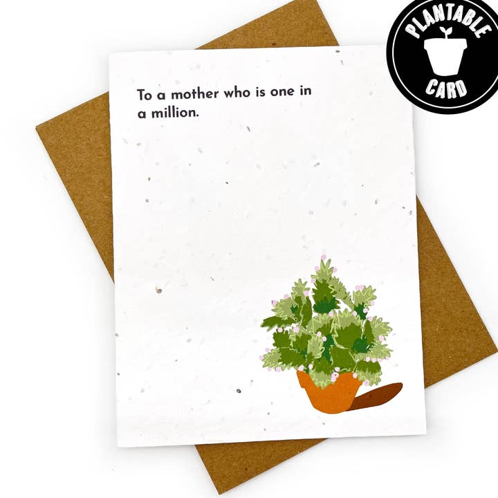 Mor til Millioner Card for engroshandel hos Cato & Company