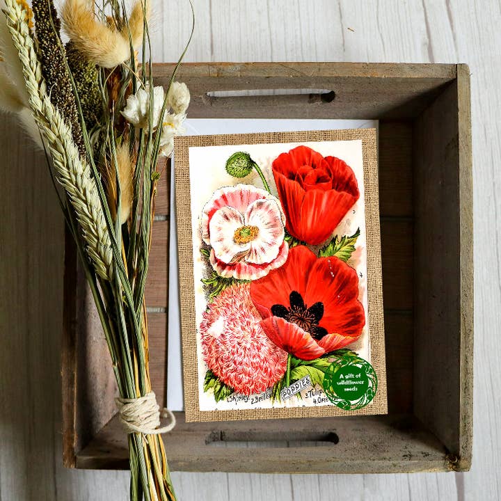 Beautifully Vintage Poppy & Wildflower Card - Seeds Inside for wholesale by Seeds with Love