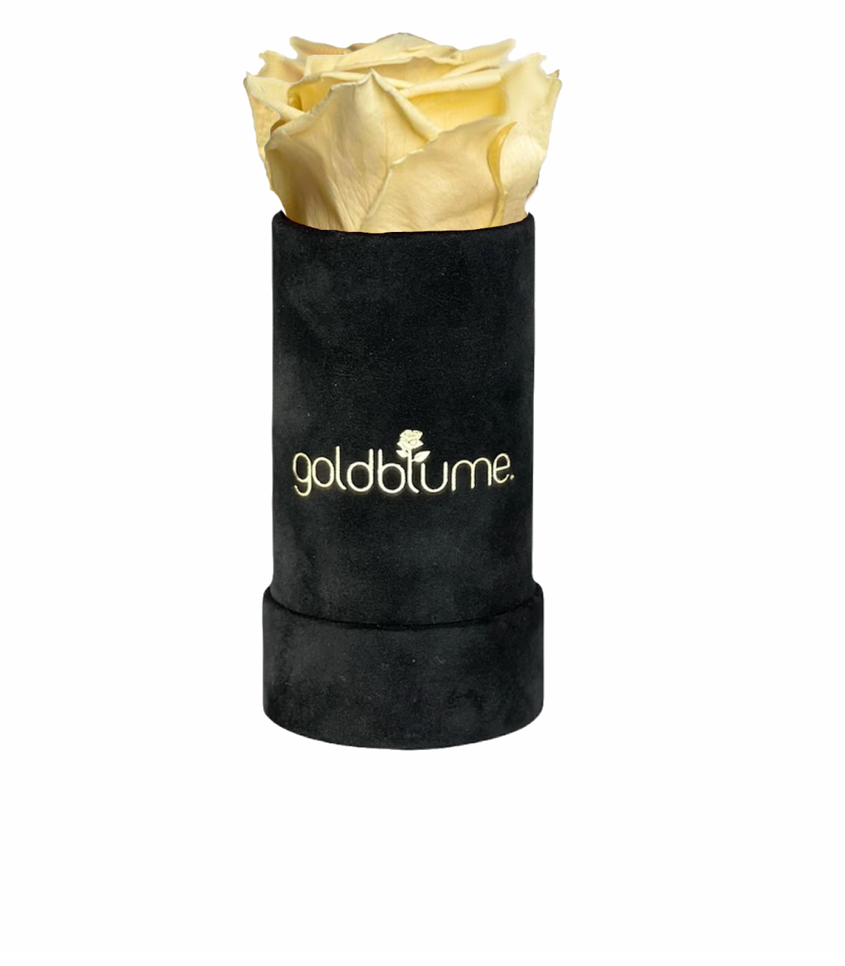 goldblume - Wholesale Artificial Flowers - Velvet black collection0