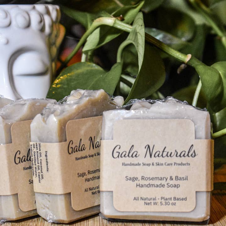 Salbei /Rosmarin & Basilik für den Großhandel von Gala Naturals