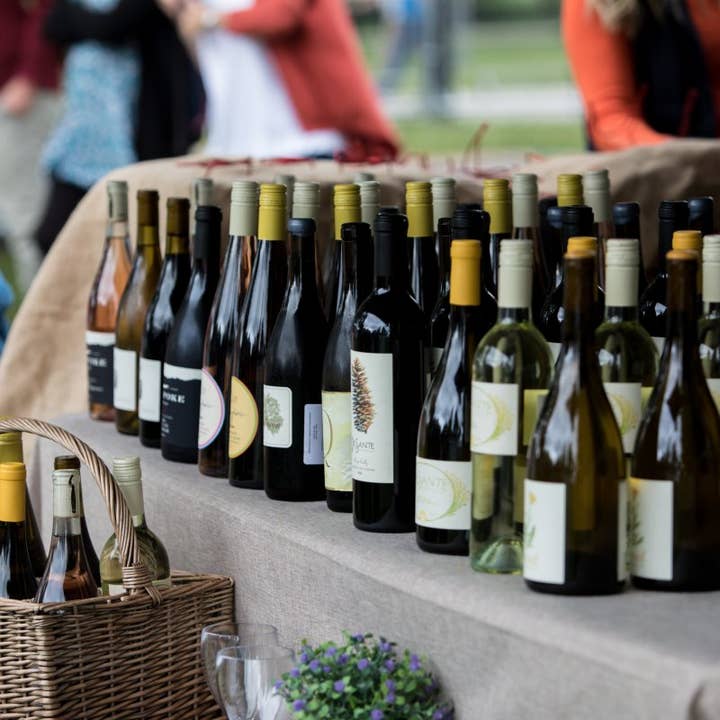 Celebration Pack for wholesale by COAST by ALLY Wines