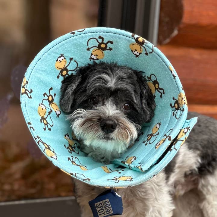 Cuddle Cone - Wholesale Pet Collar - Cat/Dog - Soft Dog Recovery Cone – Flexible Alternative to Plastic9
