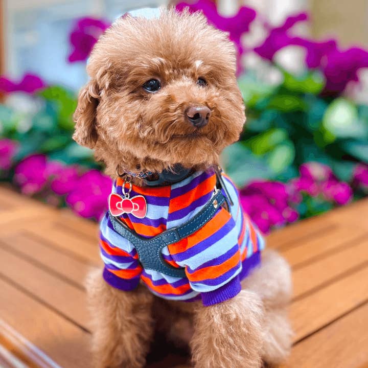 Barkada – wholesale Halsbandsbricka - Katt och hund – Bow Pet ID Tag3