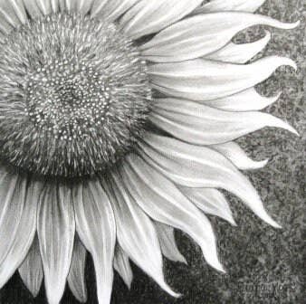 Voss Botanicals, LLC - Wholesale Healing Salve/Balm/Cream - Sunflower Salve | Dry Skin Salve | Heals Damaged Skin | Chapped Skin Salve | Vegan | Wild Orange | Cuticle Oil | Gift For Her | Winter Aid1