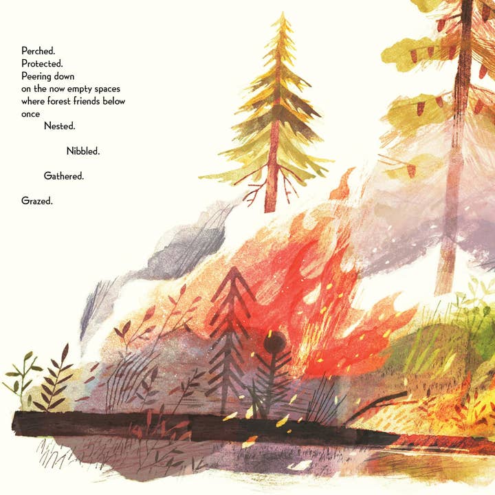 Sleeping Bear Press - Wholesale Preschool Book (3-5) - Pine Cone Regrown Picture Book3