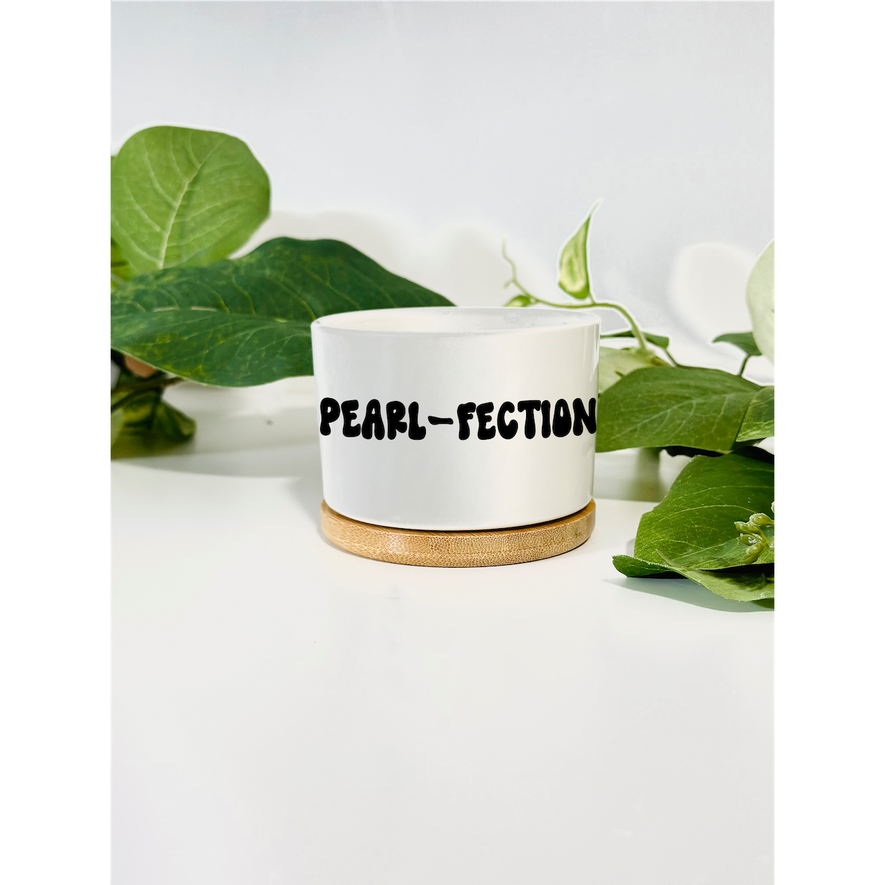 Peach Tree Design Shop - Venta al por mayor Macetas - Mini macetas divertidas, maceta con juego de palabras, macetero para suculentas1