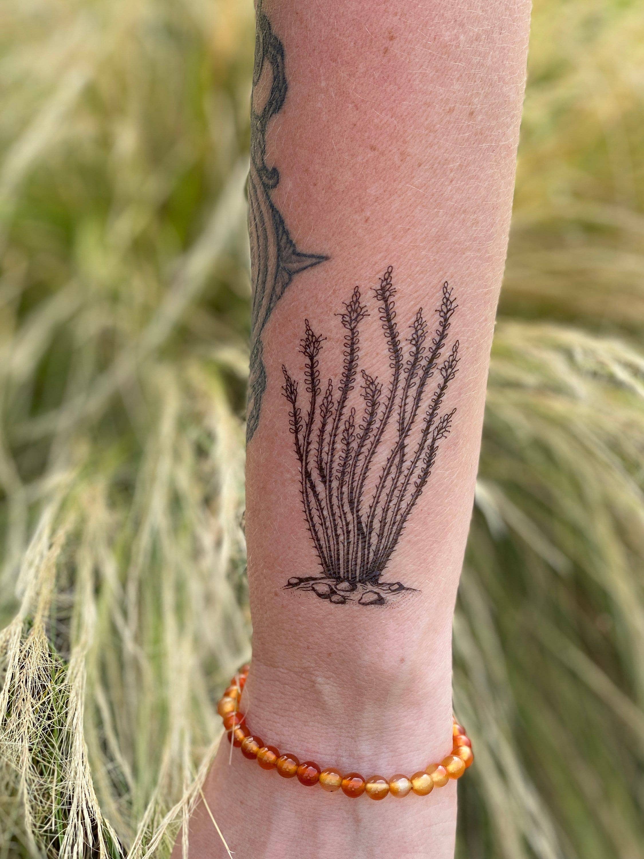 NatureTats – wholesale Temporary tattoo – Ocotillo Temporary Tattoo1
