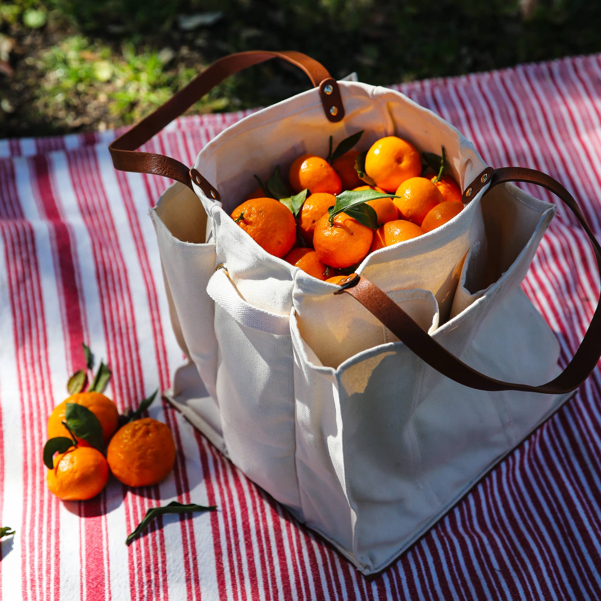 CapaBunga® - Wholesale Grocery/Shopping Bag - Heavy Canvas Tote Bag | Reusable Multi-Pocket Market Tote 23