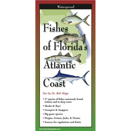Fishes of Florida’s Atlantic Coast for wholesale by Earth Sky + Water