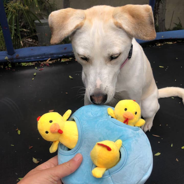 Glow Pups - Vente Peluche – chien - Jouets pour chiens Burrow Chicken in Egg4