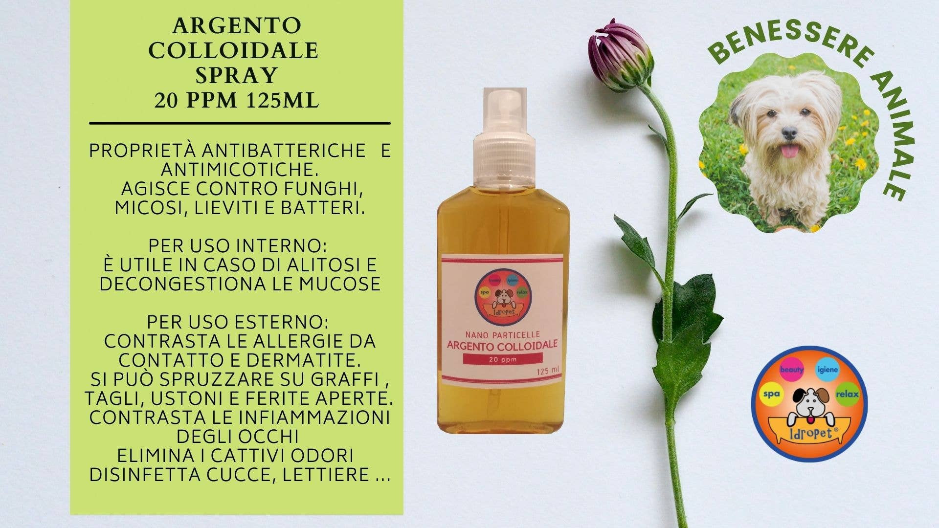 Idropet - Wholesale Pet Grooming Set - Dog - Spa & Beauty kit dedicated to the Maltese dog4