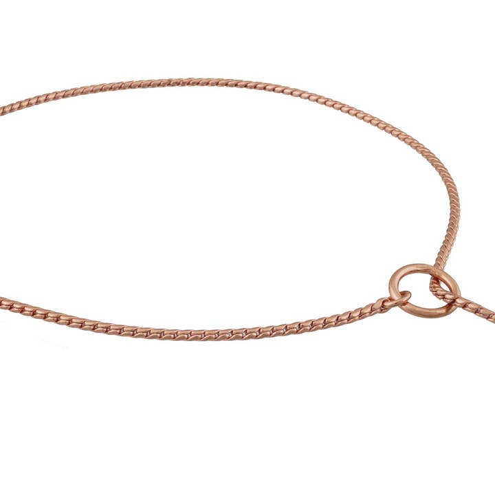 Alvalley – wholesale Halsband - Hund – Slip snake kedjehalsband för hund16