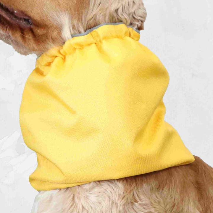 Snood imperméable pour chien | Jaune pour la vente par Distinguish Me