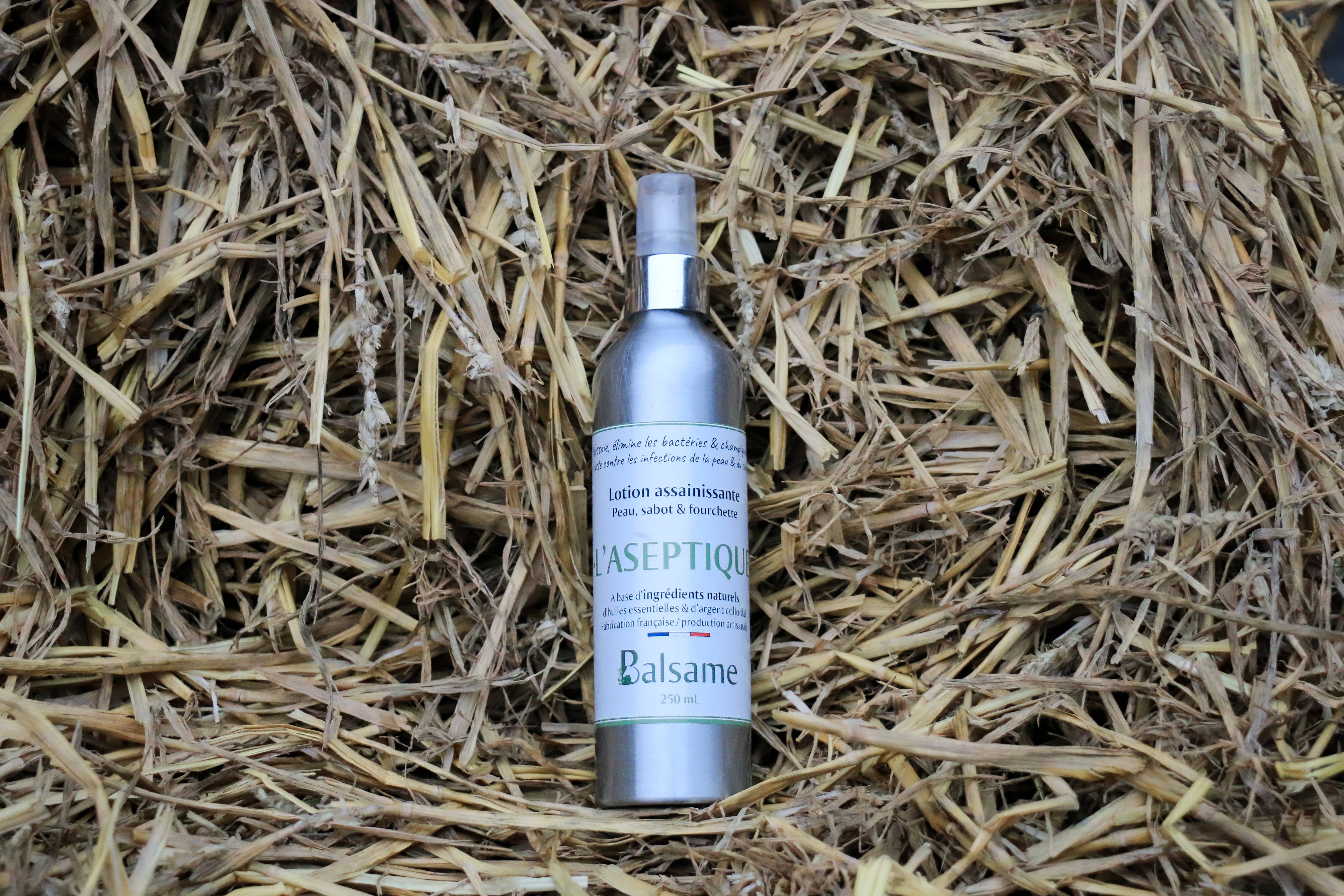 BALSAME - Wholesale Horse Conditioner/Grooming Aid - THE ASEPTIC - Disinfectant spray1