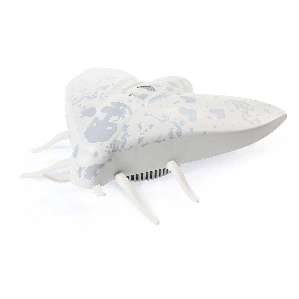 JALO - Wholesale Handy Tool - Smoke alarm - Lento 104