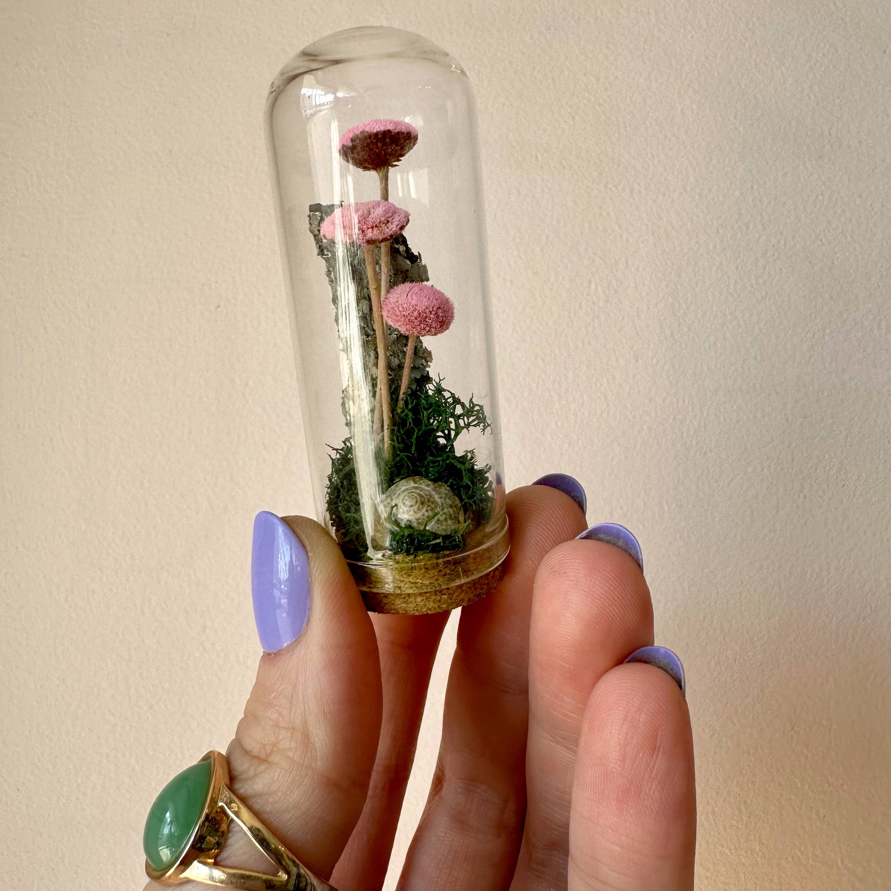 CA Studios - Wholesale Terrarium - Mushroom Mix Terrarium Glass Cloche Cork Jar & Florals9