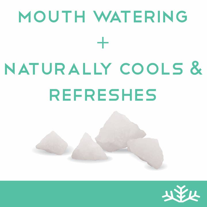 SNØ - Venta al por mayor Golosinas duras - Wintergreen - Candy sin azúcar - Keto y vegano | 6 latas6