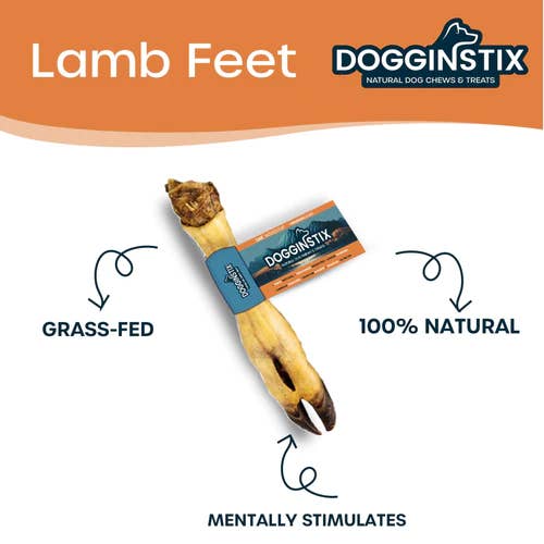 Dogginstix - Wholesale Pet Treats - Dog - Lamb Feet- Lamb Trotter Dog Chews