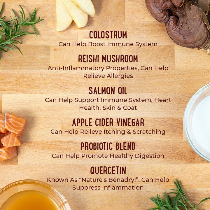 iHeartDogs.com – wholesale Pet supplement – Dog – iHeartDogs Allergy & Itch Relief Chews for Dogs with Salmon Oil, Quercetin, Colostrum, Antioxidants and Probiotics — 90 Count - Faire3