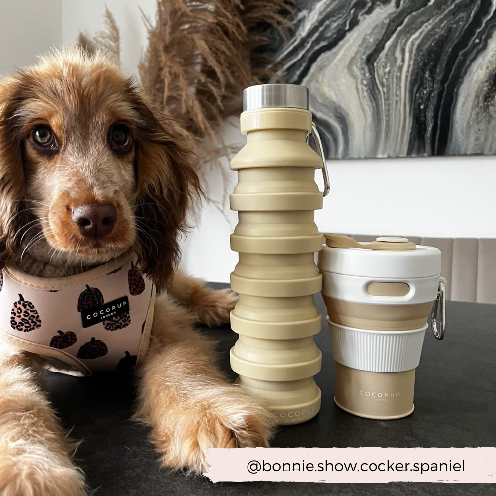 Cocopup London – wholesale Water bottle – Collapsible Water Bottle - Nude7