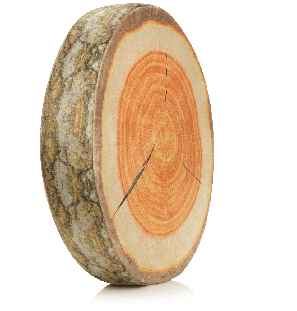 Husband Pillow - Vendita all'ingrosso Cuscini per letto - 360 - FETTA-REGISTRO-MAPL20