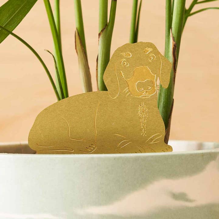 Another Studio - Wholesale Ornament - Daschund, Plant Animal Pet, pot decoration for dog lovers