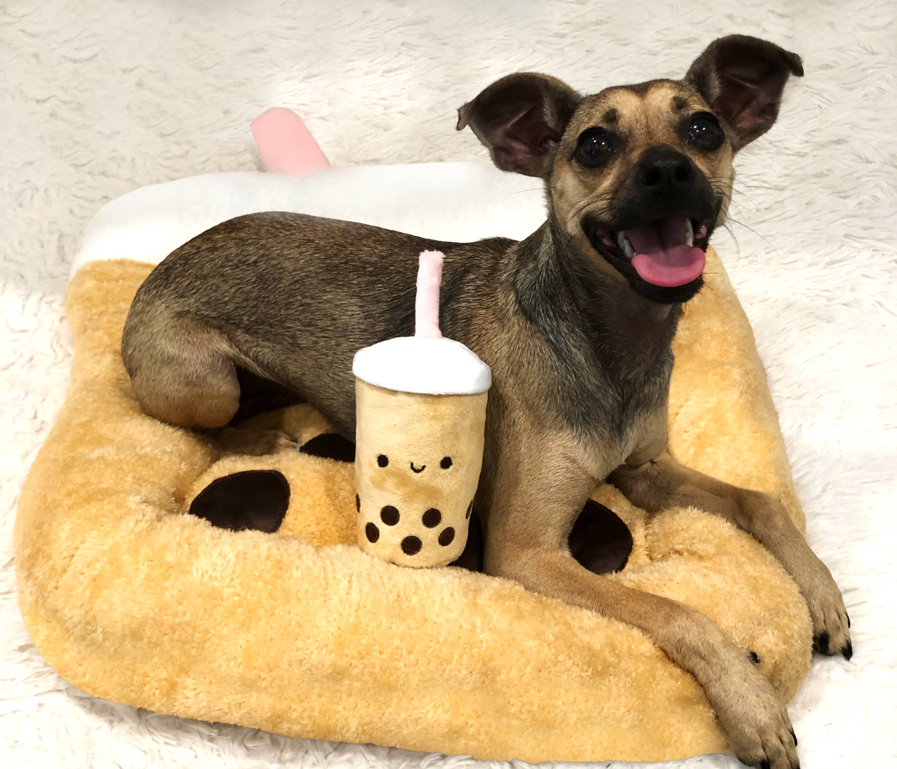 TONBO - Vente Lit – chat et chien - Lit pour animaux de compagnie Boba et jouet plissé Boba2