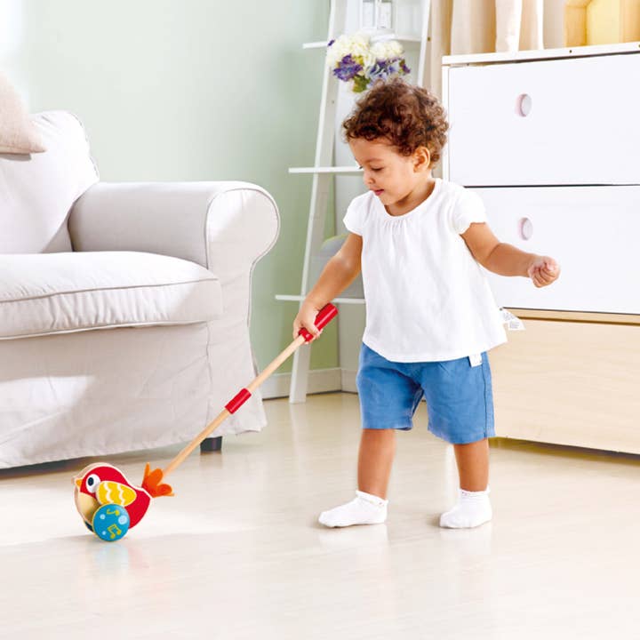 Hape Toys - Wholesale Musical Toy - Kids & Baby - Hape Lilly Musical Push Along - Wooden Bird Toy for Toddlers