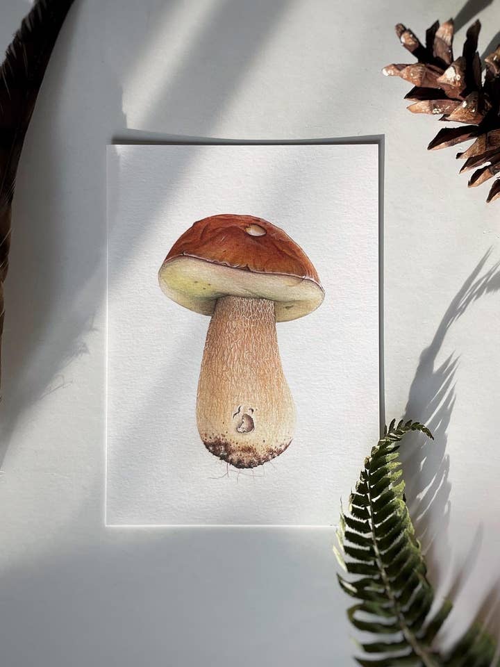 Bolete Mushroom Print, King Bolete, Mushroom Art for wholesale by Sword Fern Studios