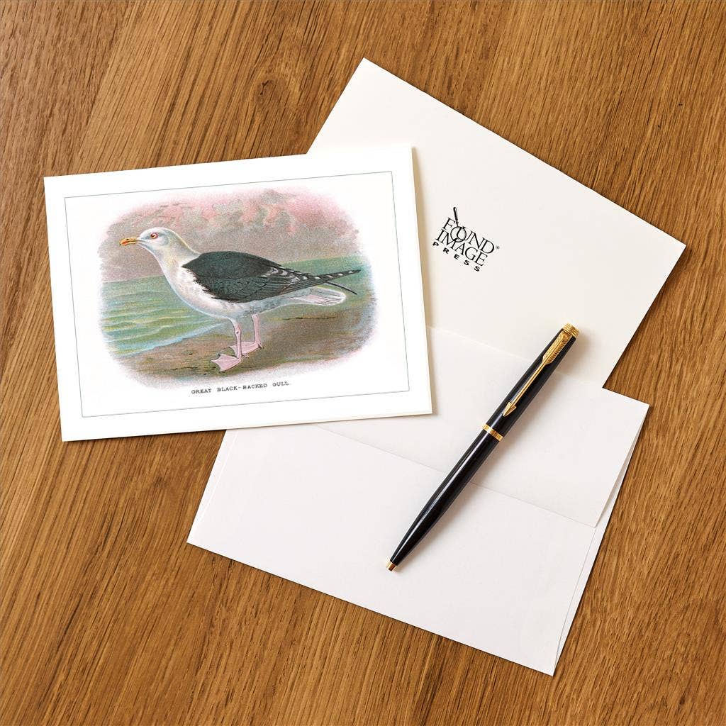 Found Image Press – wholesale Stationery/notecard set – Greeting Card BD-66 Great Black-Backed Gull1
