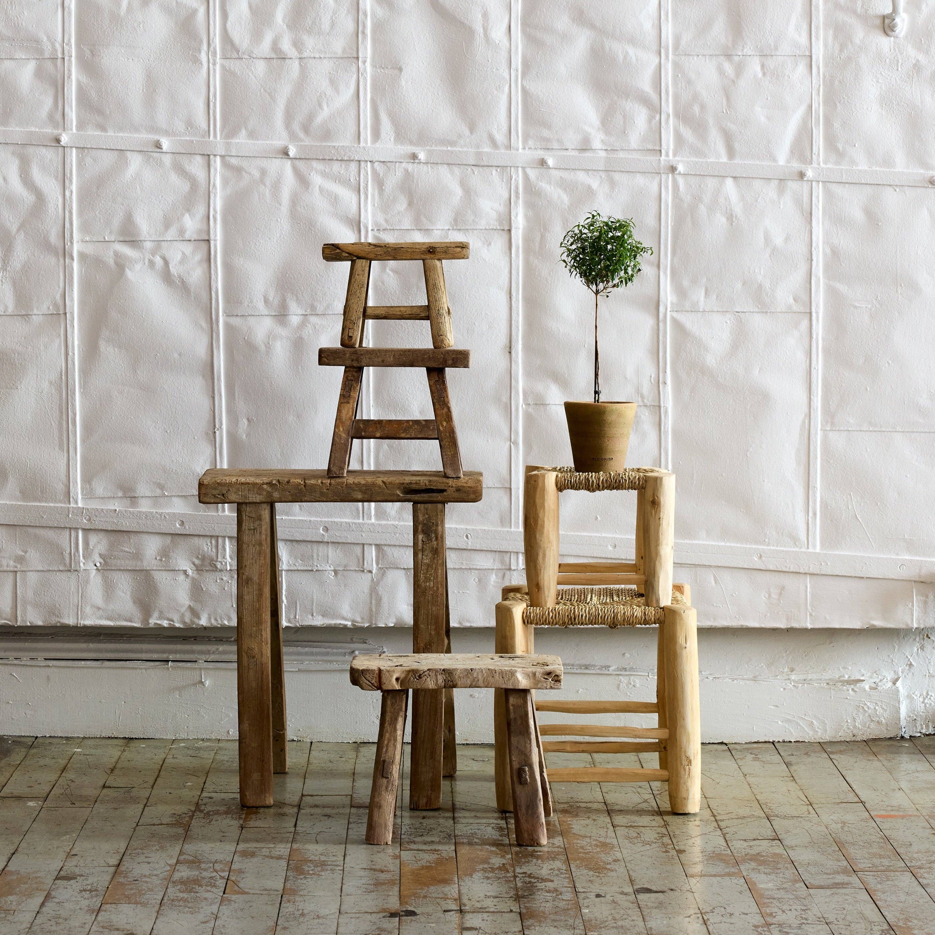 Bloomist - Vendita all'ingrosso Vasi per piante - Vaso Studio con Lavaggio Verde5