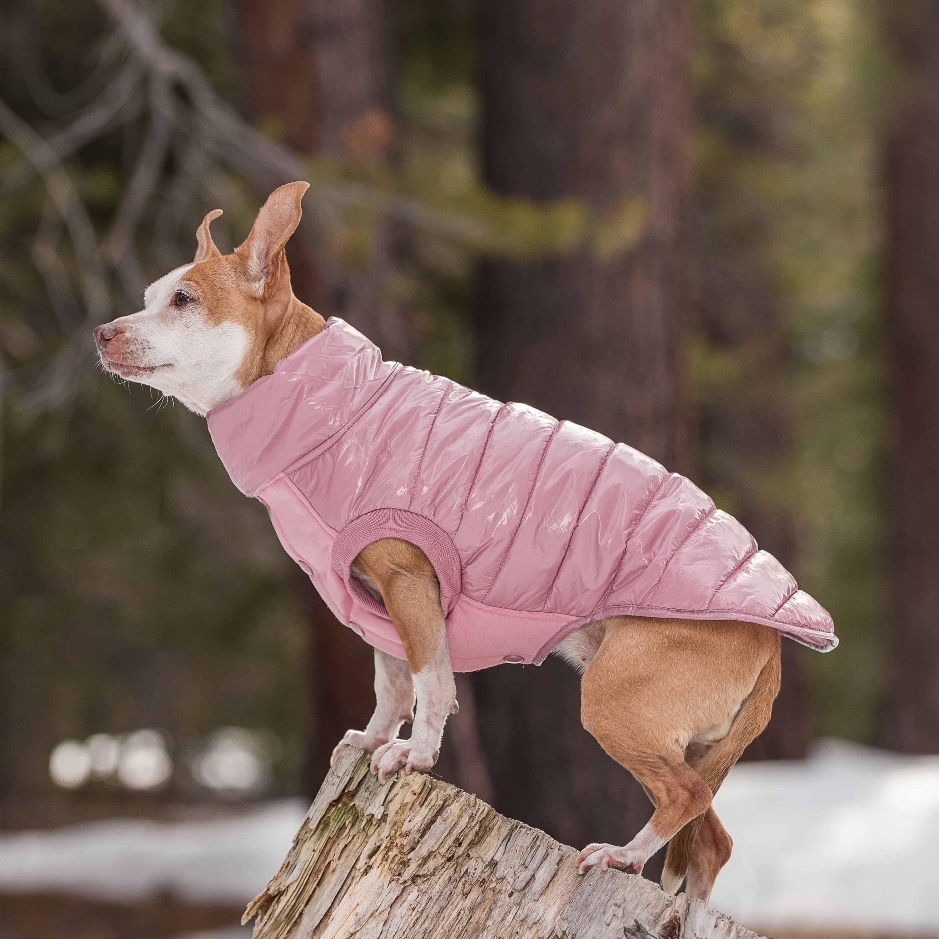 Blueberry Pet - Wholesale Pet Jacket - Dog - Custom-woven& Dyed Puffer Jacket, Flex Chest + Leash Opening25