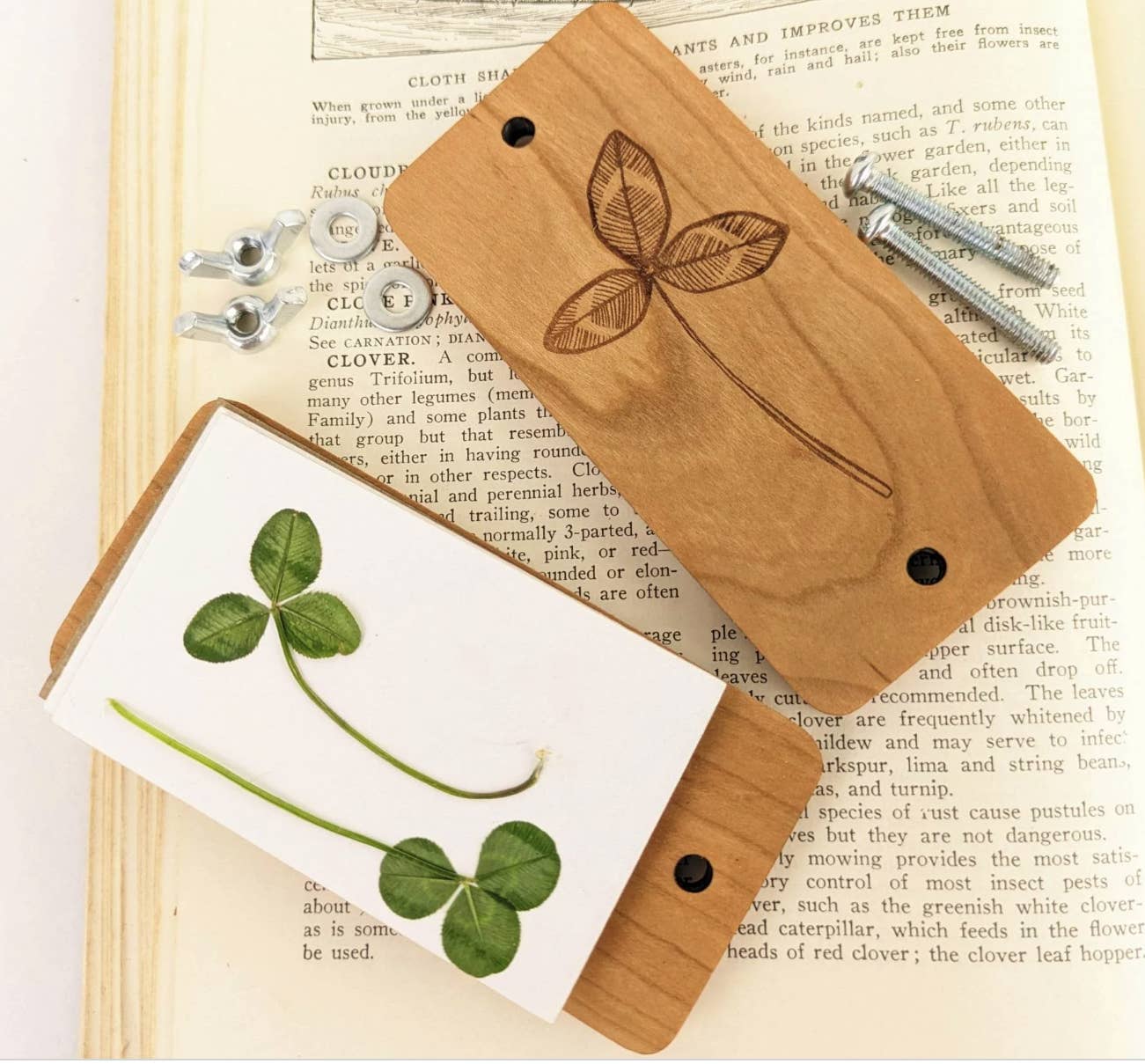 Macon Makes - Wholesale DIY Craft Kit - Pocket Sized Flower Press With Clover Design