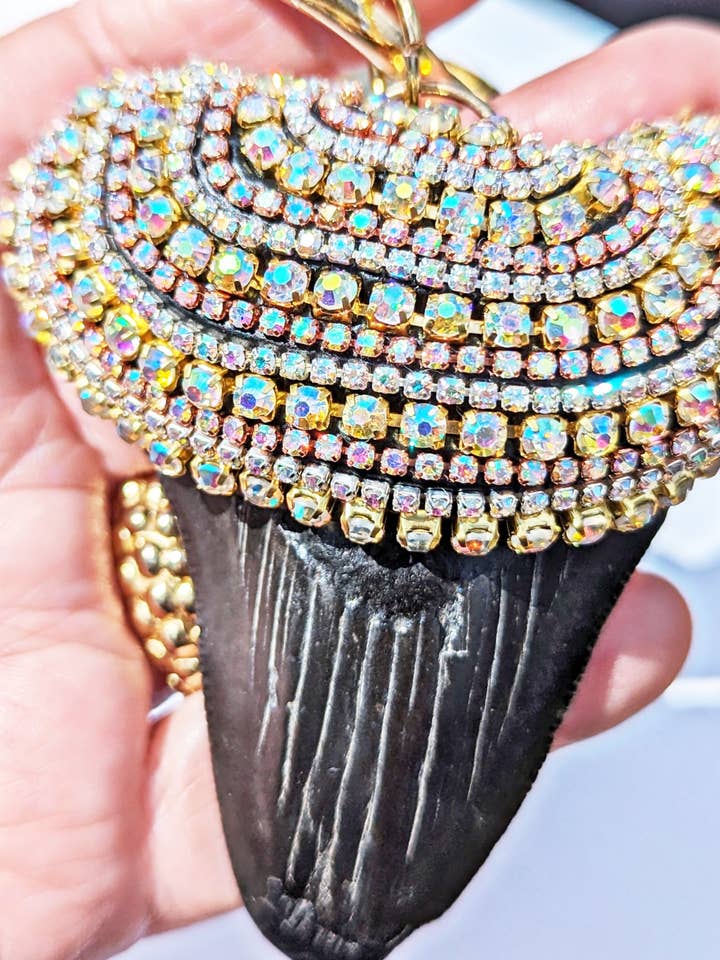 Schwarzer Haizahn Fossil Anhänger AB Kristall Swarovski Unisex Strand Hochzeit Meer Zahnarzt Aussage Sugar Gay Isber 30 Millionen Jahre alt für den Großhandel von Gay Isber Designs
