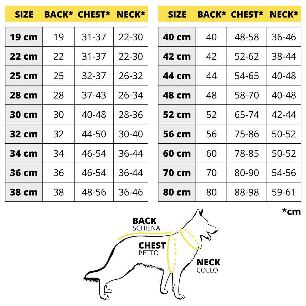 Croci – wholesale Hundregnrock - Hund – Bobby vattentät hundjacka Rayè med avtagbar huva1