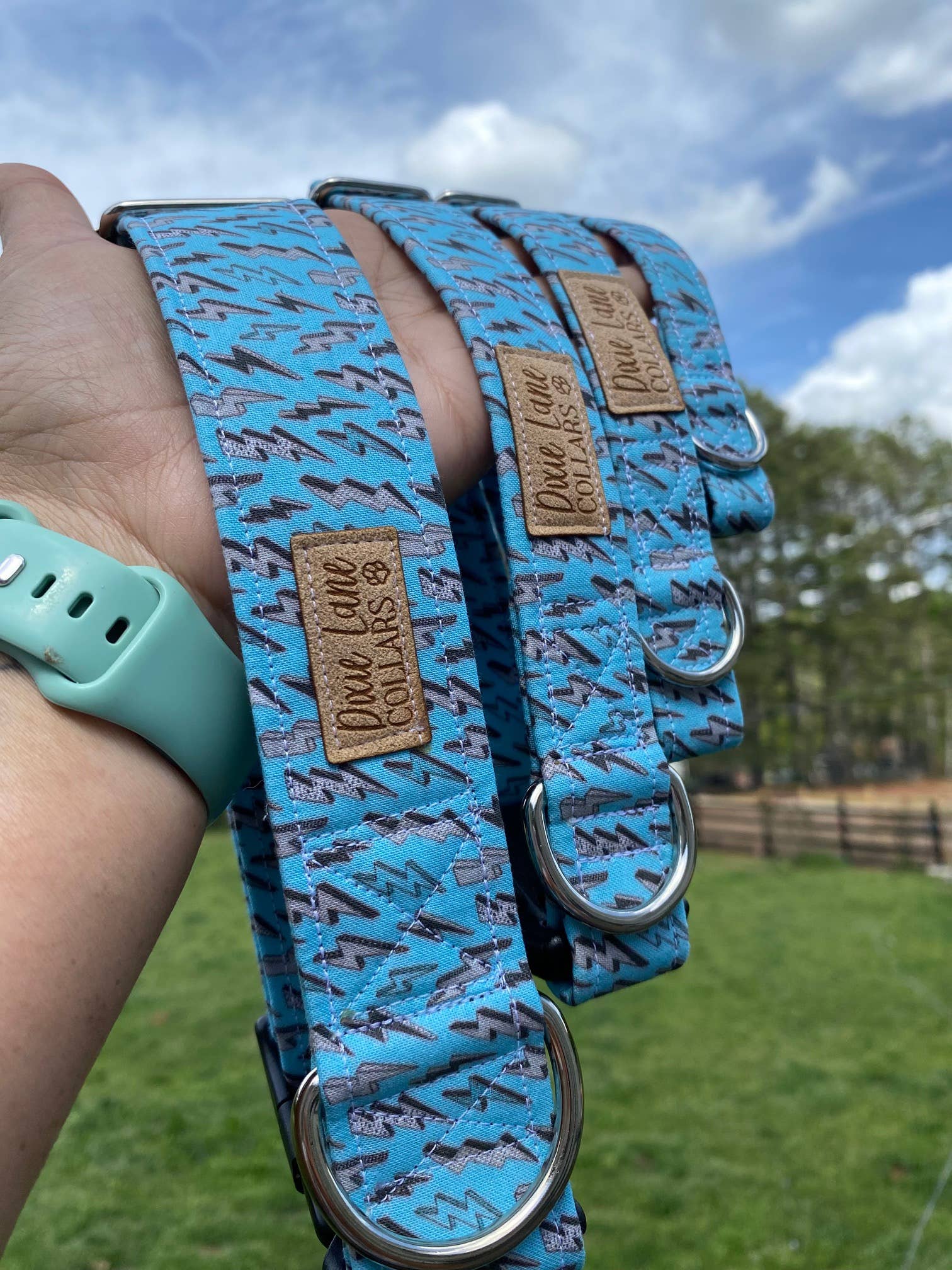 Dixie Lane Collars – coleira - Cão por atacado – Coleira para Cão com Raios Azuis, Dixie Lane Collars3