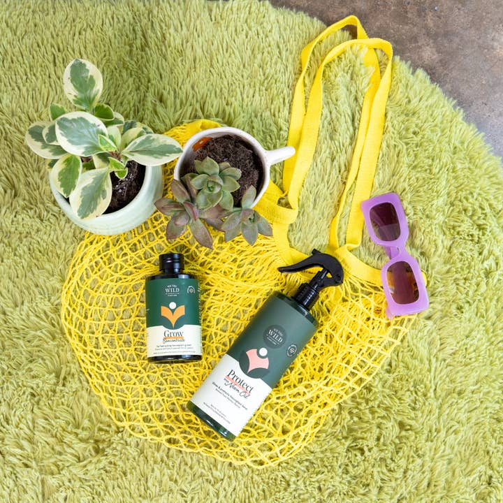 We The Wild Plant Care USA - Wholesale Planting/Potting Soil - Proud Plant Parent Kit - Case of 6