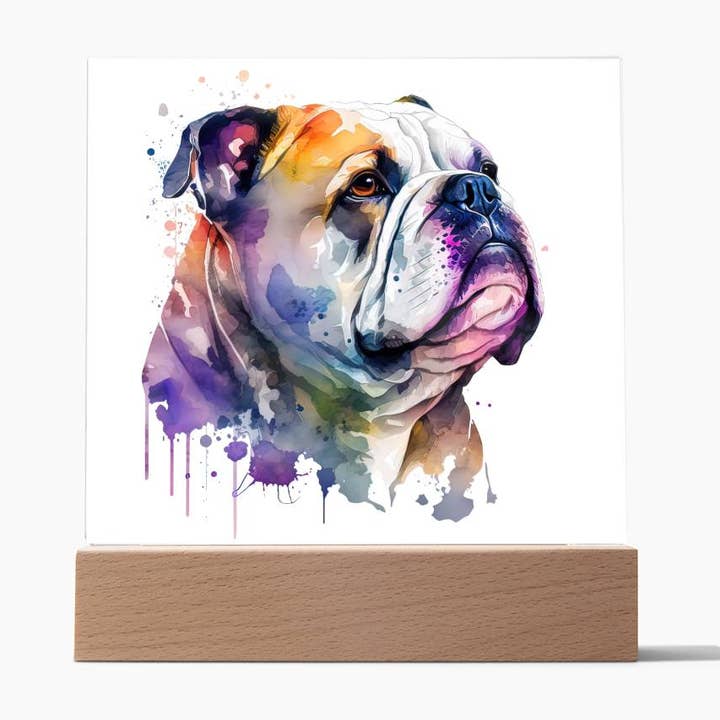 Bulldog (Watercolor) 03 - Square Acrylic Plaque for wholesale by Unique Gifts Store