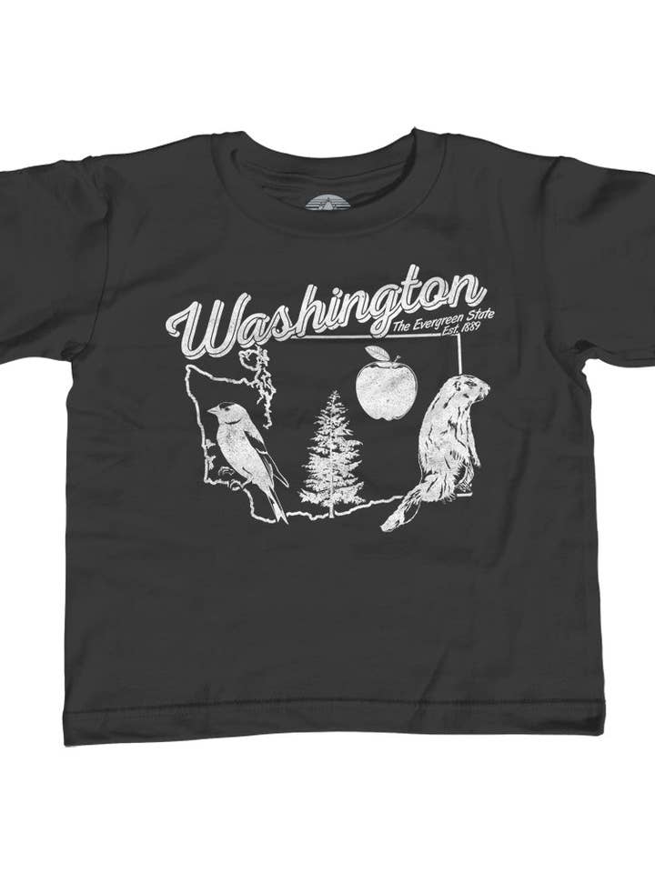Youth Vintage Washington T-Shirt for wholesale by Boredwalk