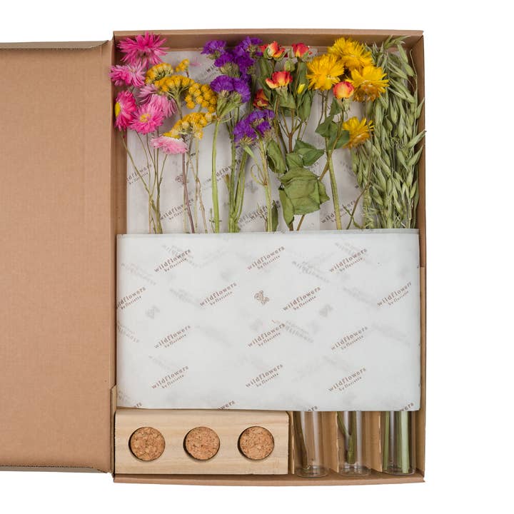 Wildflowers by Floriette – Großhandel Getrocknete/gepresste Blumen – Geschenkbox - Getrocknete Blumen im Briefkastenformat mit Vasen - Mehrfarbig1