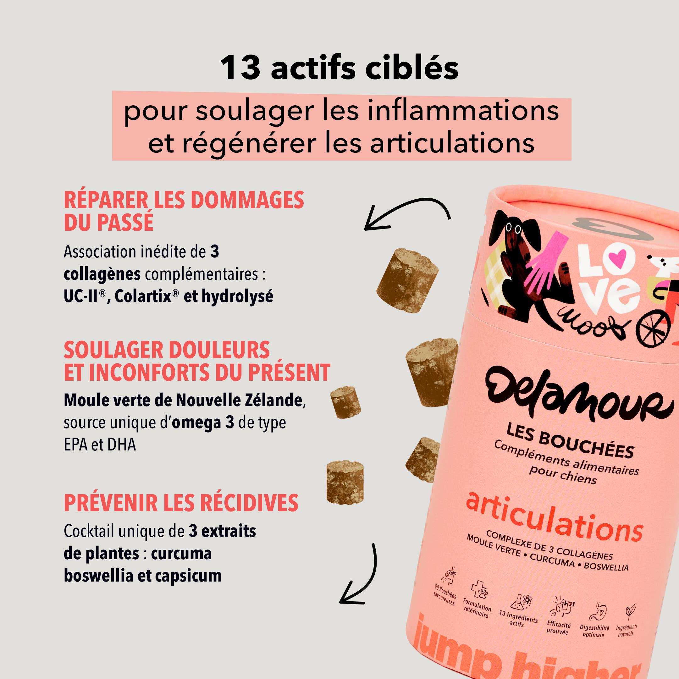 Delamour - Wholesale Pet Supplement - Dog - Les Bouchées - 90 chews to support Joints (270g)4