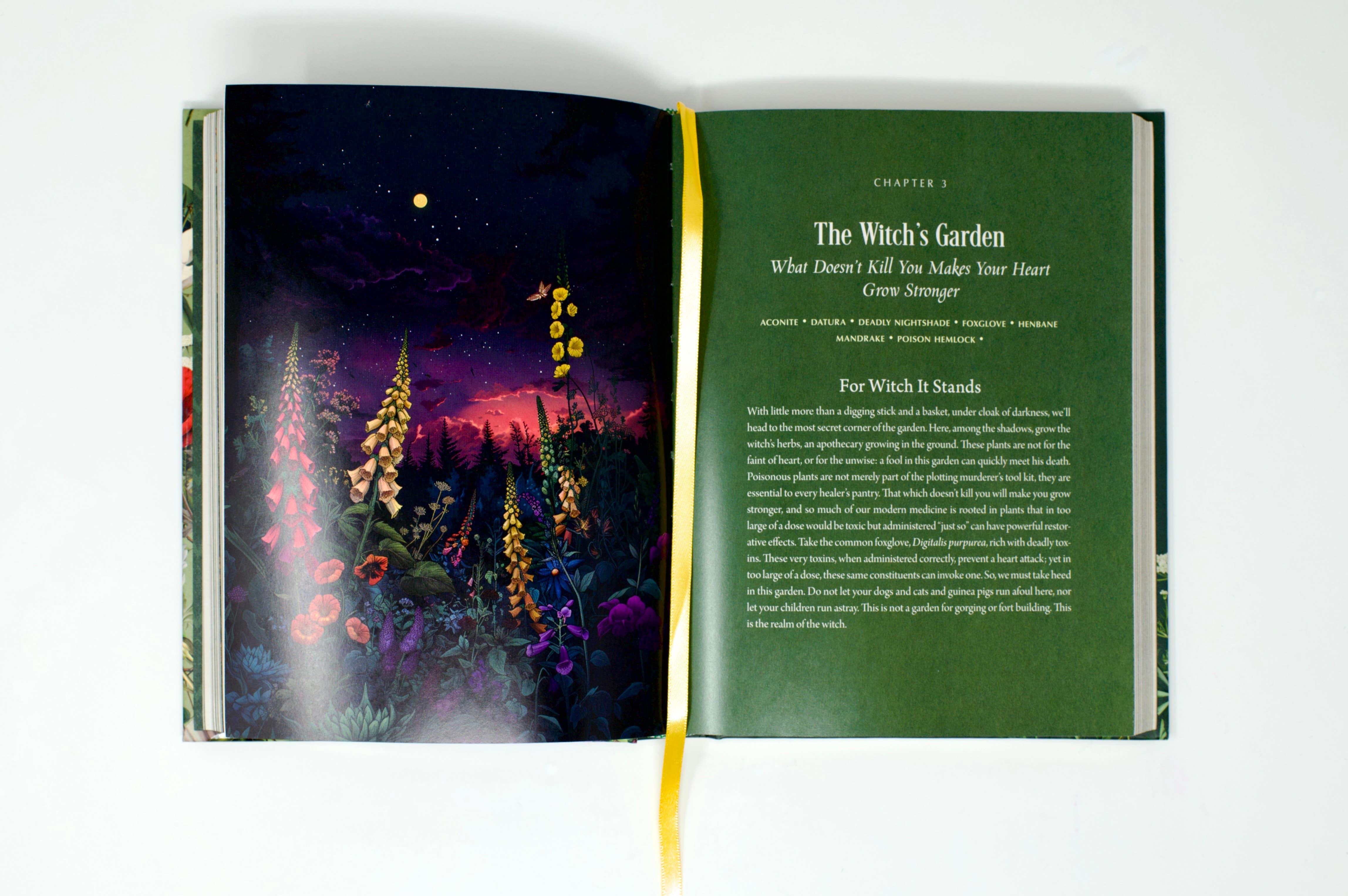 Red Wheel/Weiser LLC - Wholesale Nature & Outdoors - Enchanted Plants: A Treasury of Botanical Folklore and Magic3